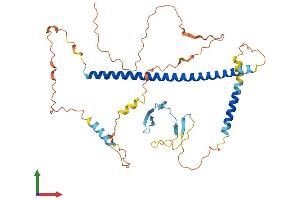 Protein Structure (PS) image for Multiciliate Differentiation and DNA Synthesis Associated Cell Cycle Protein (MCIDAS) (AA 1-385) protein (His tag) (ABIN7549346)
