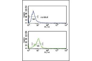 Flow Cytometry (FACS) image for anti-Corticotropin Releasing Hormone Receptor 2 (CRHR2) (AA 84-114), (N-Term) antibody (ABIN390757)