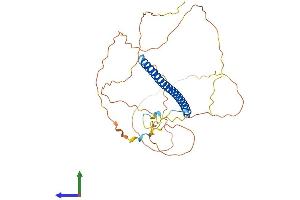 Protein Structure (PS) image for FBJ Murine Osteosarcoma Viral Oncogene Homolog B (FOSB) (AA 1-338) protein (His tag) (ABIN7547825)