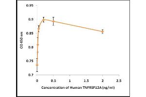 Activity Assay (AcA) image for Tumor Necrosis Factor Receptor Superfamily, Member 12A (TNFRSF12A) (Active) protein (ABIN5509797) (TNFRSF12A Protein)