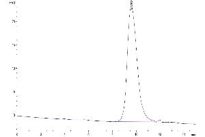 The purity of Mouse CD79B is greater than 95 % as determined by SEC-HPLC. (CD79b Protein (AA 26-158) (His tag))