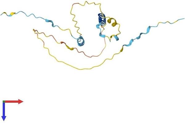 PPP1R1A Protein (AA 1-171) (His tag)