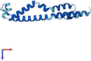 CTD Nuclear Envelope Phosphatase 1 Regulatory Subunit 1 (CNEP1R1) (AA 1-125) protein (His tag)