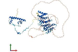 Protein Structure (PS) image for TAF6-Like RNA Polymerase II, P300/CBP-Associated Factor (PCAF)-Associated Factor, 65kDa (TAF6L) (AA 1-622) protein (His tag) (ABIN7544111)