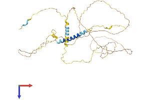 SDC3 Protein (AA 1-442) (His tag)