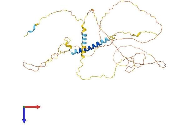 SDC3 Protein (AA 1-442) (His tag)