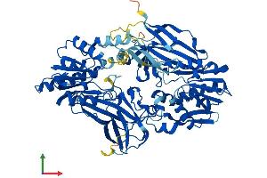 Protein Structure (PS) image for Protein Arginine Methyltransferase 7 (PRMT7) (AA 1-692) protein (His tag) (ABIN7564854)