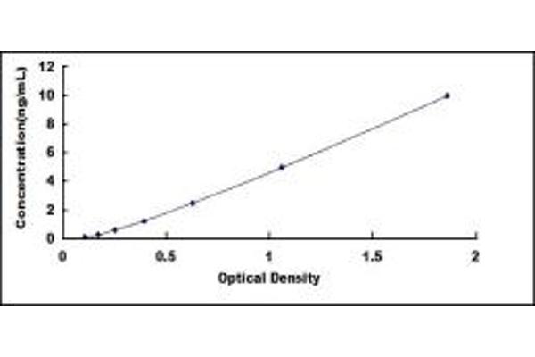 TOP2 ELISA Kit