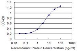 Detection limit for recombinant GST tagged CTNNB1 is 0. (CTNNB1 Antikörper  (AA 682-781))