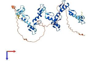 ZNF70 Protein (AA 1-446) (His tag)