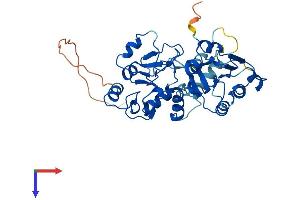 DNMT3L Protein (AA 1-386) (His tag)