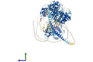Protein Structure (PS) image for Myosin IIIB (MYO3B) (AA 1-1305) protein (His tag) (ABIN7563642)