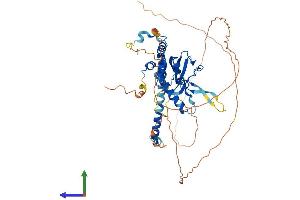 AlphaFold protein structure predicition of Human Recombinant NAP1L3 Protein, UniprotID Q99457