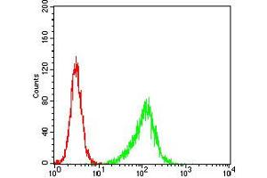 Flow cytometric analysis of Hela cells using PLCG2 mouse mAb (green) and negative control (red). (Phospholipase C gamma 2 Antikörper  (pTyr753))