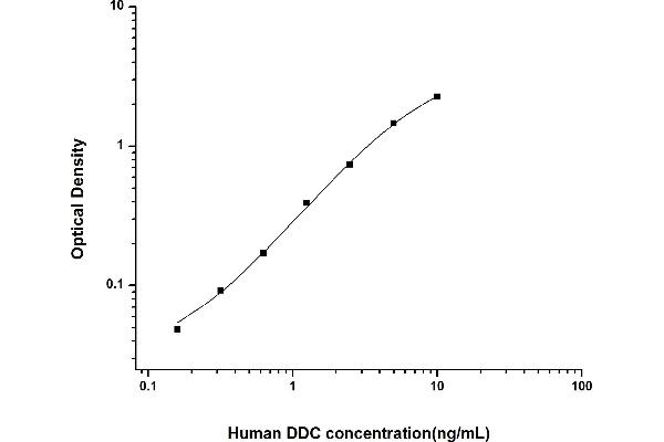 DDC ELISA Kit