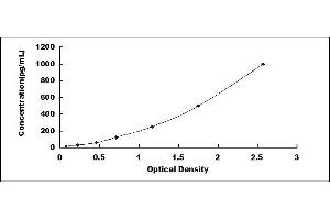 Typical standard curve (LTB ELISA Kit)