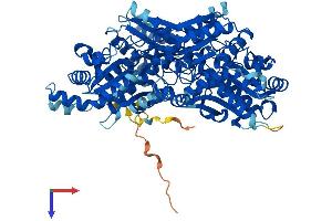 PFKP Protein (AA 1-784) (His tag)
