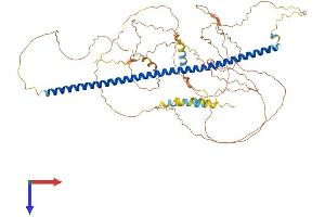 Syntabulin Protein (AA 1-663) (His tag)