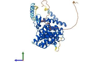Protein Structure (PS) image for Interferon Related Developmental Regulator 1 (IFRD1) (AA 1-451) protein (His tag) (ABIN7548509)