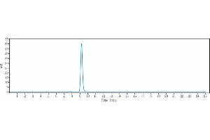 The purity of Anti-CXCL8 / IL-8 Reference Antibody (ABX-IL8) is 98. (Rekombinanter IL-8 Antikörper)