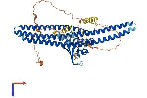 Sorting Nexin 2 Protein (SNX2) (AA 1-519) (His tag)