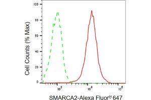 Flow cytometric analysis of SMARCA2 expression in HepG2 cells using SMARCA2 antibody (ABIN7800475), 1:2,000).