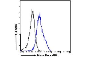 Flow Cytometry (FACS) image for anti-Tryptophan Hydroxylase 2 (TPH2) (Internal Region) antibody (ABIN185533)