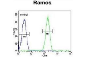 Flow cytometric analysis of Ramos cells using AP52266PU-N (right histogram) compared to a negative control cell (left histogram). (KDM3B Antikörper  (Middle Region))