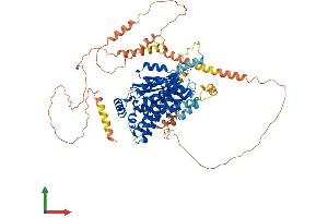Protein Structure (PS) image for Patatin-Like phospholipase Domain Containing 8 (PNPLA8) (AA 1-782) protein (His tag) (ABIN7554961)