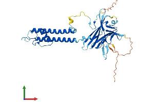 Protein Structure (PS) image for Potassium Inwardly-Rectifying Channel, Subfamily J, Member 13 (KCNJ13) (AA 1-360) protein (His tag) (ABIN7554340)