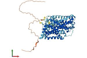 Protein Structure (PS) image for Solute Carrier Family 7 (Amino Acid Transporter, L-Type), Member 8 (SLC7A8) (AA 1-531) protein (His tag) (ABIN7565152)