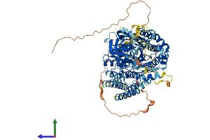 Protein Structure (PS) image for N-Acetylated alpha-Linked Acidic Dipeptidase-Like 2 (NAALADL2) (AA 1-795) protein (His tag) (ABIN7554672)