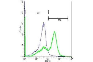 Human Raji lysates probed with Rabbit Anti-GABRR1 Polyclonal Antibody, PE Conjugated (ABIN1387368) (green) at 1:50 for 40 minutes compared to control cells with PE isotype control.