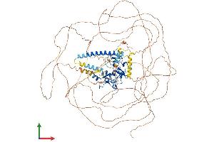 Protein Structure (PS) image for Protein AF-10 (MLLT10) (AA 1-1068) protein (His tag) (ABIN7562423)