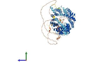Protein Structure (PS) image for Intraflagellar Transport 88 Homolog (IFT88) (AA 1-824) protein (His tag) (ABIN7557698)