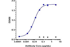 Immobilized human GPC3, His Tag at 2 μg/mL can bind Anti-GPC3 / Glypican-3 Reference Antibody (codrituzumab), EC50=0. (Rekombinanter GPC3 (Codrituzumab Biosimilar) Antikörper)