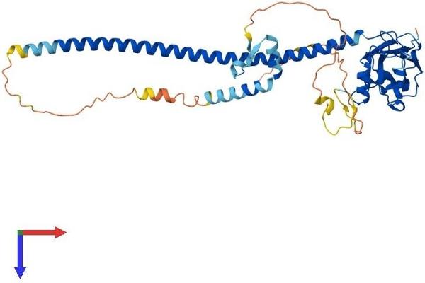 TRAF1 Protein (AA 1-416) (His tag)