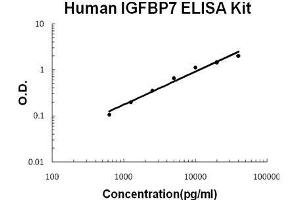 Human IGFBP7 PicoKine ELISA Kit standard curve