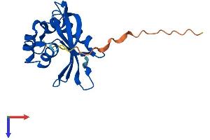 NUDT3 Protein (AA 1-168) (His tag)