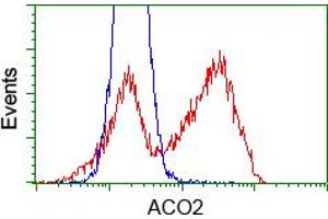 HEK293T cells transfected with either pCMV6-ENTRY ACO2 (RC204307) (Red) or empty vector control plasmid (Blue) were immunostained with anti-ACO2 mouse monoclonal (ABIN2452695), and then analyzed by flow cytometry. (ACO2 Antikörper)