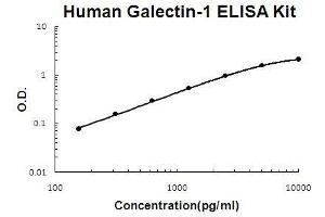 Human Galectin-1 PicoKine ELISA Kit standard curve