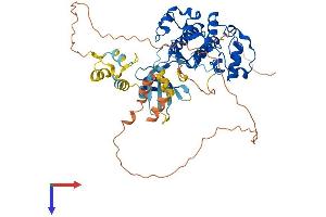 CDK17 Protein (AA 1-523) (His tag)