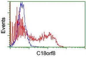 Image no. 2 for anti-Chromosome 18 Open Reading Frame 8 (C18orf8) antibody (ABIN1497027) (C18orf8 Antikörper)