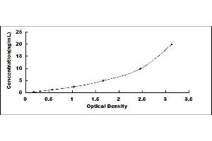 Typical standard curve