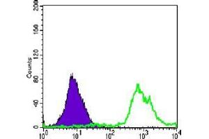 FC analysis of Jurkat cells using anti-CD247 antibody (green) and negative control (purple). (CD247 Antikörper)