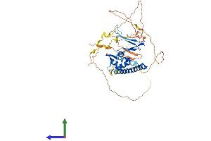 AlphaFold protein structure predicition of Human Recombinant E2F3 Protein, UniprotID O00716 (E2F3 Protein (AA 1-465) (His tag))