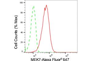Flow cytometric analysis of MEK7 expression in HepG2 cells using MEK7 antibody (ABIN7799468), 1:2,000). (Rekombinanter MAP2K7 Antikörper)