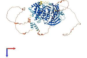 TAF5 Protein (AA 1-800) (His tag)