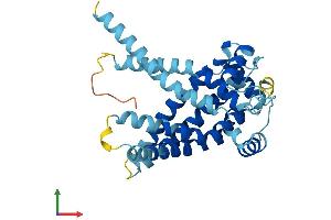 AlphaFold protein structure predicition of Human Recombinant SLC25A19 Protein, UniprotID Q9HC21 (SLC25A19 Protein (AA 1-320) (His tag))