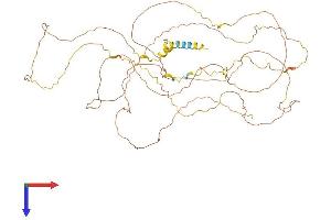 AlphaFold protein structure predicition of Mouse Recombinant Srrm4 Protein, UniprotID Q8BKA3
